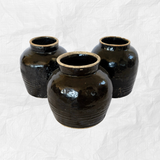Noire Pot